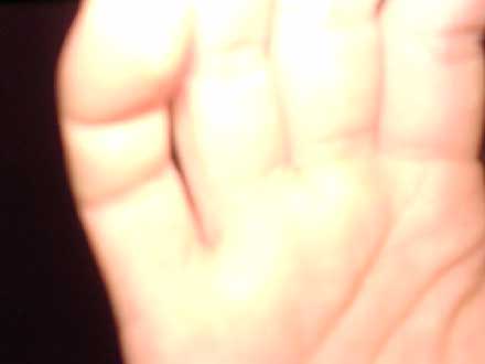 The Hand