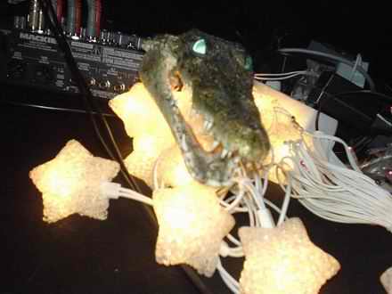 croco