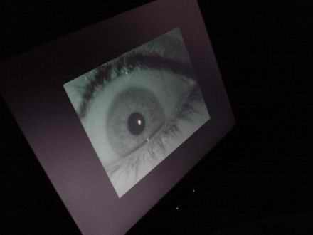 eye