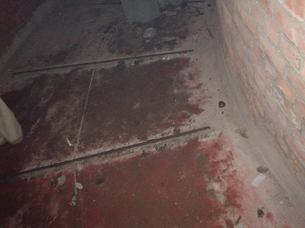 DSC01047