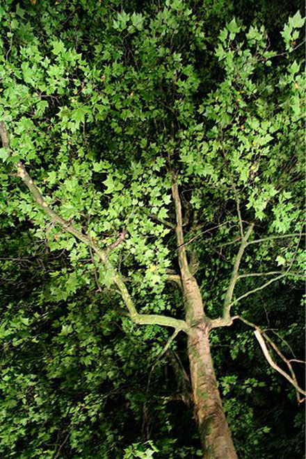 Picture 30 - (IMG_6108)